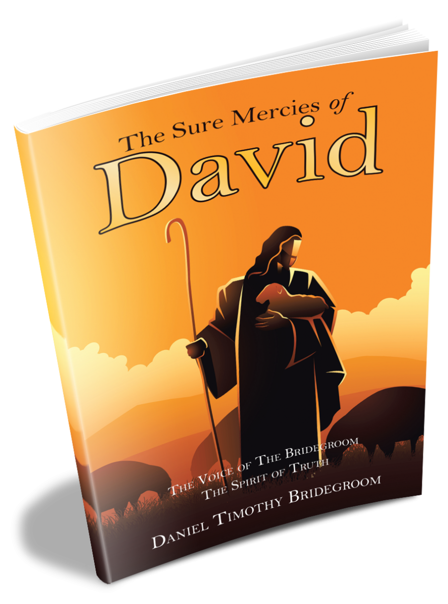 3d-book - Daniel Timothy Bridegroom